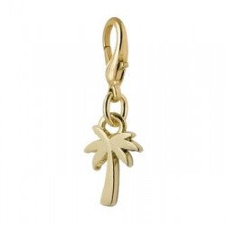 Charm Palm Beach