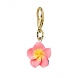 Charm Pink Hibiscus