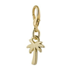 Charm Palm Beach