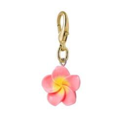 Charm Pink Hibiscus